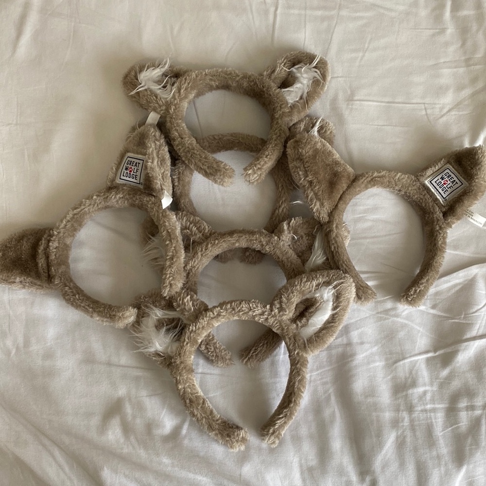 Great wolf lodge ears